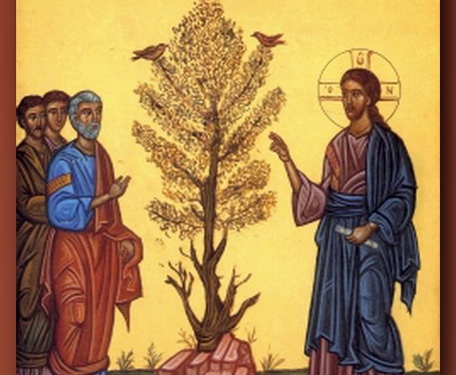 Κυριακή Γ’ Ματθαίου: Εμπιστοσύνη στη Θεία Πρόνοια