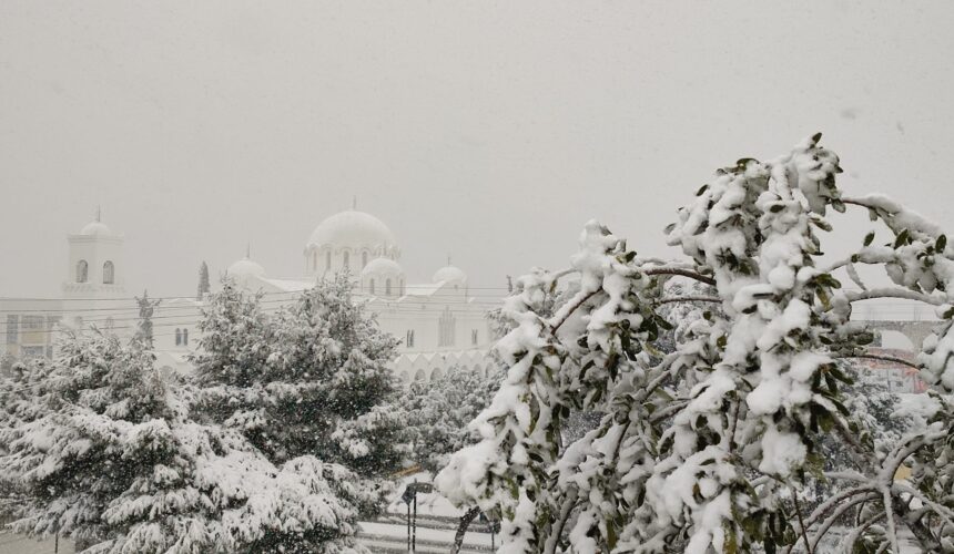 Πρόγραμμα Φεβρουαρίου 2022