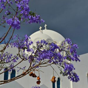 ΠΡΟΓΡΑΜΜΑ ΦΕΒΡΟΥΑΡΙΟΥ (ΚΑΙ ΜΕΧΡΙ ΈΝΑΡΞΗΣ ΤΕΣΣΑΡΑΚΟΣΤΗΣ) 2025 ΠΡΟΓΡΑΜΜΑ ΦΕΒΡΟΥΑΡΙΟΥ (ΚΑΙ ΜΕΧΡΙ ΈΝΑΡΞΗΣ ΤΕΣΣΑΡΑΚΟΣΤΗΣ) 2025