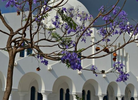 Πρόγραμμα Ιανουαρίου μετά τις Εορτές