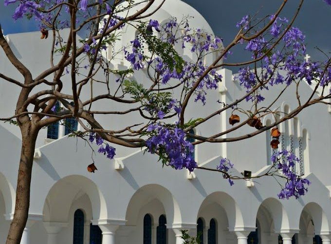 Πρόγραμμα Μηνός Μαΐου 2026